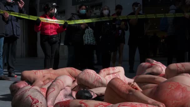 観客は 動物の毛皮の使用に対するデモ中に偽の血で覆われた裸の地面に横たわって プロの動物の権利活動家のパフォーマンスを見てマドリード スペイン — ストック動画
