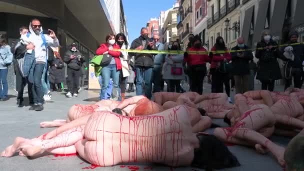 Pro Animal Rights Group Animanaturalis Activist Lays Ground Naked Covered — Stock Video