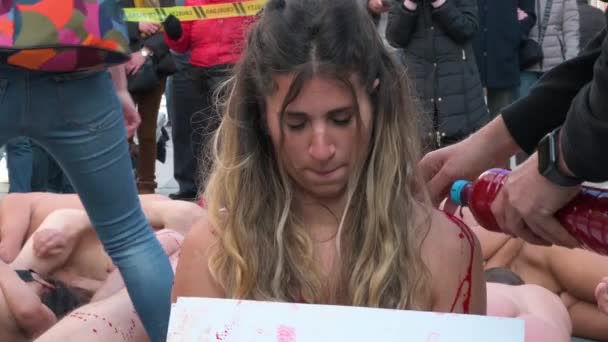 Activist Spills Fake Blood Pro Animal Rights Group Animanaturalis Lay — Stockvideo