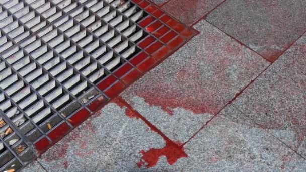 Pedestrian Walks Stains Fake Blood Ground Activists Pro Animal Rights — Video