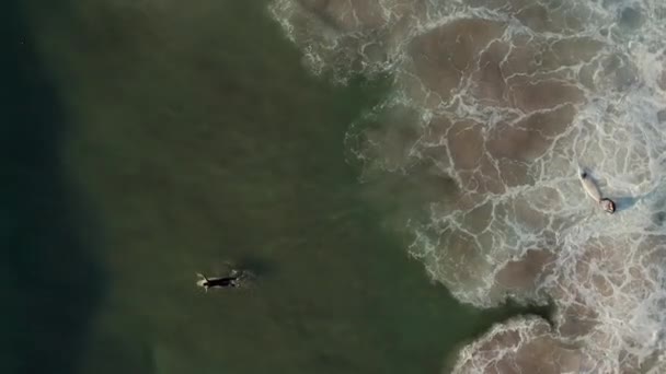 在南非开普敦Llandudno海滩 一名冲浪运动员躺在冲浪板上 朝着冲破海浪的方向滑行 空中射击 — 图库视频影像