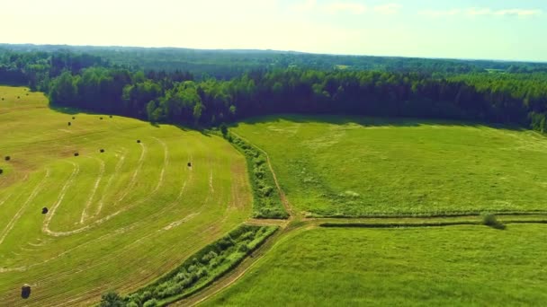 Aerial Drone Shot Flying Green Field Farm Hay Bales Stacked — ストック動画