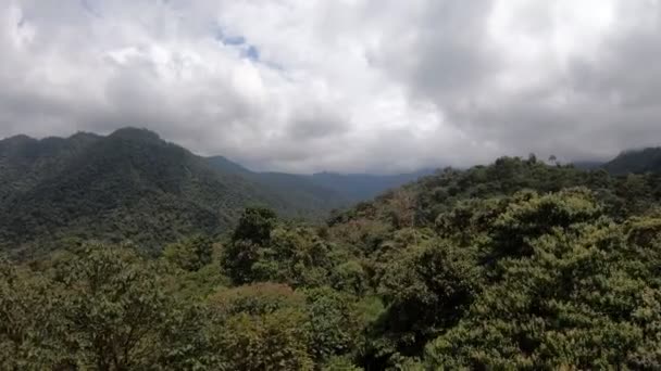 Panning Aerial View Rainforest South America — Vídeo de stock