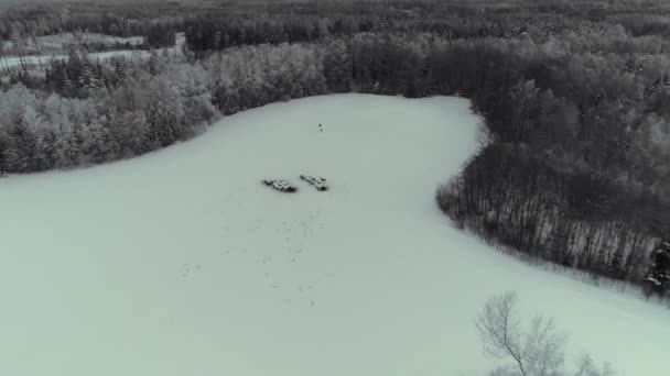 Aerial Drone Shot Wild Animals Standing Frozen Lake Surrounded Snow — Video Stock