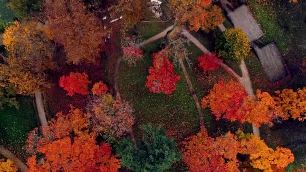Αεροφωτογραφία Πουλιού Πάνω Από Ένα Πάρκο Πολύχρωμα Δέντρα Και Πράσινο — Αρχείο Βίντεο