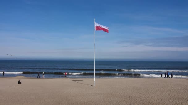 People Walking Beach Poland Waves Crash Shore Seagull Flies — 비디오