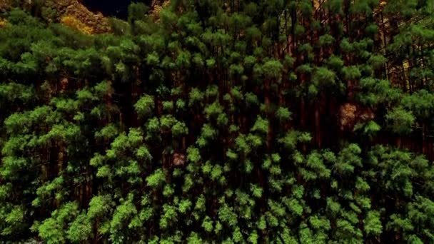 Letecký Pohled Ptačí Perspektivy Malé Jezero Voda Obklopená Zelenými Stromy — Stock video