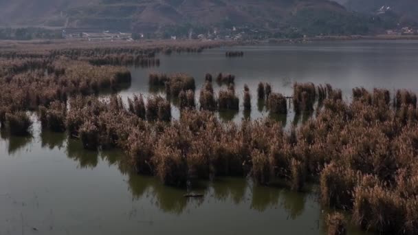 Αεροκύκλος Dolly Πάνω Από Υγρότοπους Στη Λίμνη Kallar Kahar Καθορισμός — Αρχείο Βίντεο