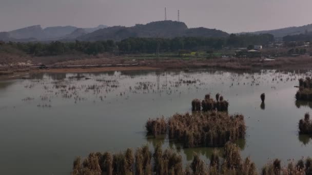 Aerial Flying Wetlands Kallar Kahar Chakwal District Punjab Dolly Forward — Vídeos de Stock