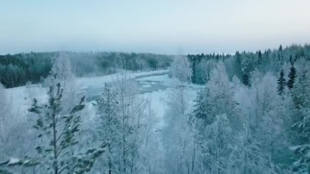 Sněhem Pokrytý Les Řekou Vikakongas Mlhavé Zimě Finsku Anténa Odhalena — Stock video