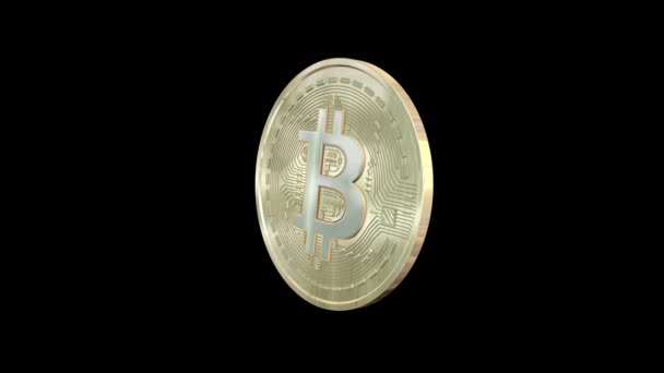 Gold Bitcoin Crypto Munt Munt Model Draaien Zwarte Achtergrond Animatie — Stockvideo