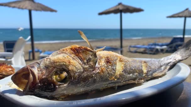 Plajda Izgara Levrek Güzel Deniz Manzaralı Bir Restoranda Geleneksel Spanyol — Stok video