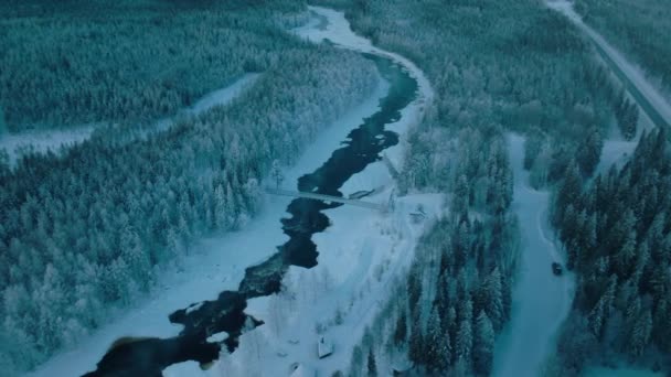 Aerial View Vikakongas River Coniferous Forest Winter Finland — Vídeo de Stock