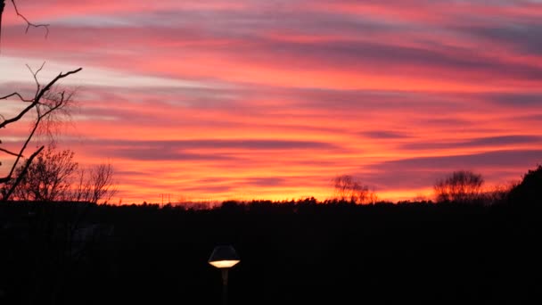 Vacker Utomhus Solnedgång Himmel Med Silhuett Kala Träd Utan Blad — Stockvideo