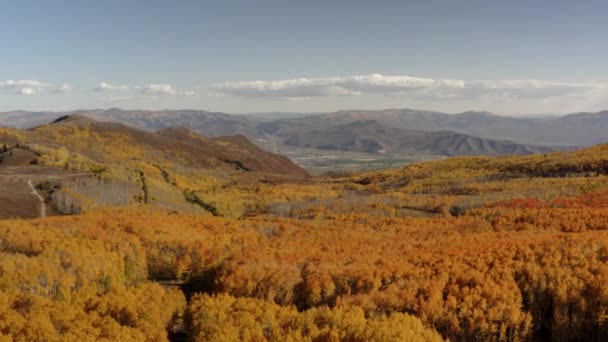 Colorful Changing Tree Colors Norther Utah Yellow Trees Shown Fall — Stock video