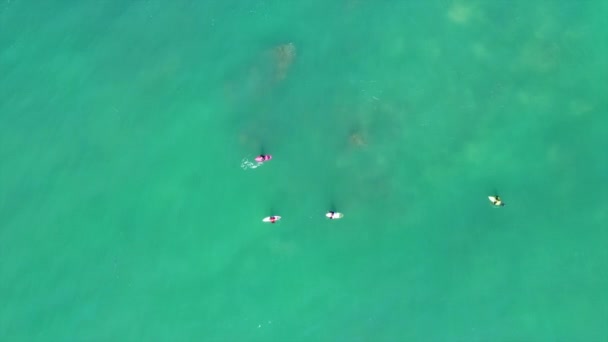Widok Lotu Ptaka Grupę Surferów Spokojnym Turkusowym Morzu Lizbona Portugalia — Wideo stockowe