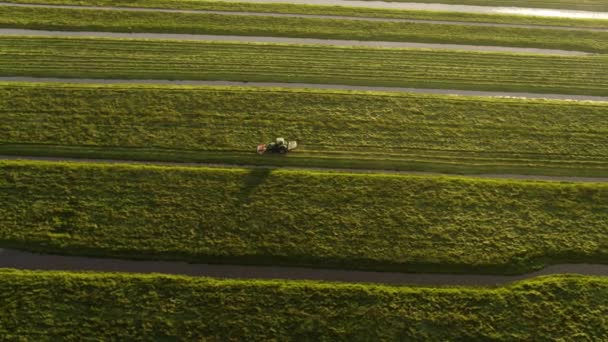 Aerial View Tractor Mowing Lush Green Meadow Water Canals — 비디오