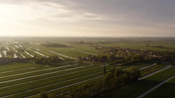Pascoli Verdi Bovini Con Canali Irrigazione Olanda Tramonto Aerea — Video Stock