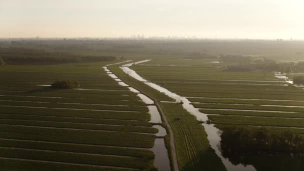 Tractors Work Green Farm Land Rotterdam Visible Horizon Sunset Aerial — стоковое видео