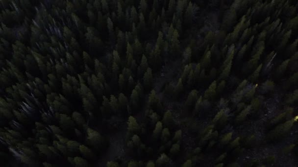 Drone Dans Les Montagnes Colorado Près Glacier Mary Surplombant Les — Video