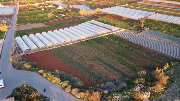 Campos Agrícolas Invernaderos Durante Atardecer Dorado Malta Vista Aérea Ascendente — Vídeo de stock