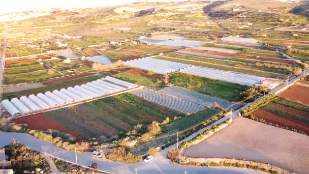 Terreno Agricolo Malta Con Molte Serre Vista Orbita Aerea — Video Stock