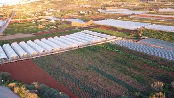 Muchos Invernaderos Industriales Malteses Zona Agrícola Vista Aérea Puesta Del — Vídeos de Stock