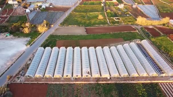 Lignes Serres Industrielles Dans Zone Agricole Malte Vue Aérienne — Video