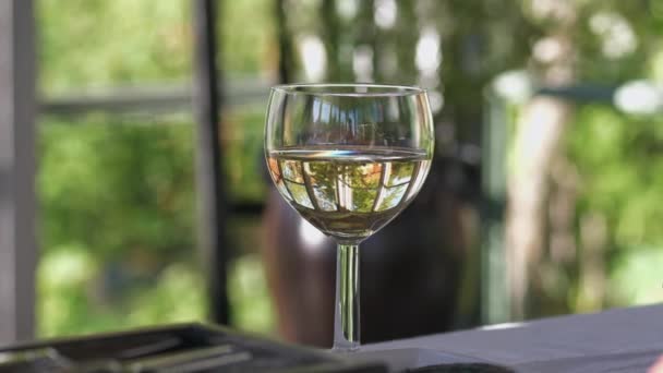 Delicious Glass White Vine Glass House Vineyard Close View — Stok video