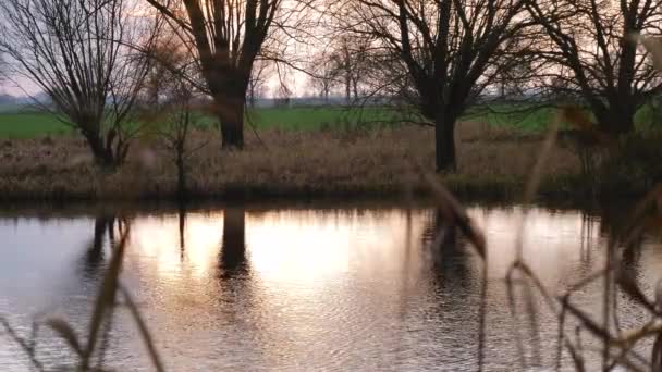 Puesta Sol Reflejándose Río Tranquilo — Vídeos de Stock