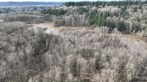 Cineastische Drohne Aufnahmen Von Überschwemmungen Auf Dem Duwamish Green River — Stockvideo