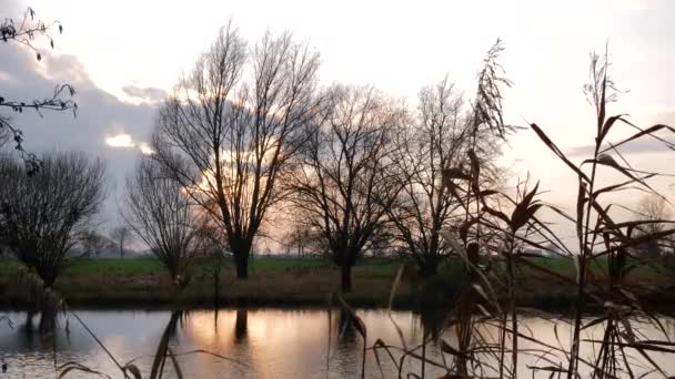 Auringonlasku Heijastaa Rauhallinen Joki Ruoko — kuvapankkivideo