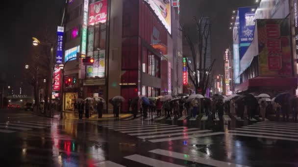 Shinjuku Kabuki Cho Doğru Ilerliyor Gece Yağmur Yağıyor — Stok video