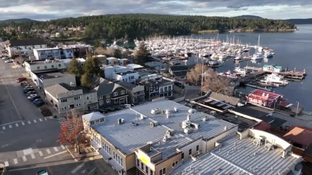 Cinematic Aerial Drone Footage Port Town Friday Harbor Fire Ferry — стоковое видео