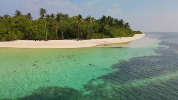 Drone Flygning Över Maldiviska Kusten Med Många Gröna Träd Utsikt — Stockvideo