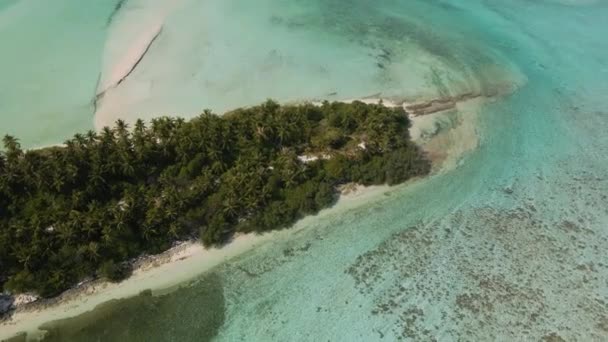 Політ Дрона Над Мальдівським Узбережжям Багатьма Зеленими Деревами Вид Океану — стокове відео