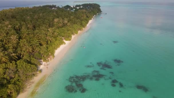 Flight Coastline Maldives One Hand Densely Growing Green Trees Other — Wideo stockowe