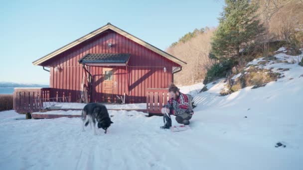 Man Feeding His Alaskan Malamute Dog Wooden Cabin Winter Wide — ストック動画