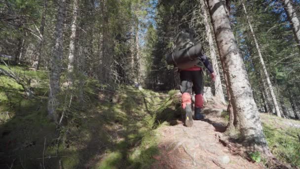 Man Hiker His Pet Dog Walking Steep Slope Woods Blaheia — Vídeo de Stock