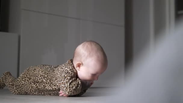 Mooie Pasgeboren Baby Rolt Houten Vloer Modern Appartement — Stockvideo