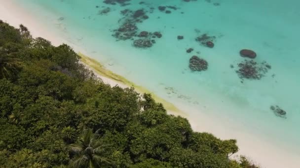 Πτήση Πάνω Από Τις Ακτές Των Μαλδίβων Από Μια Πυκνά — Αρχείο Βίντεο