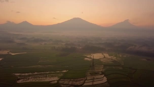 Rice Fields Mount Andong Background Magelang Central Java Indonesia Aerial — Vídeos de Stock