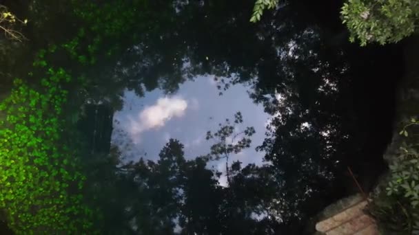 Cenote Mitten Dschungel Von Oben — Stockvideo