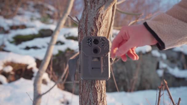 Muž Otevírající Kameru Visící Kůře Stromu Zavřít — Stock video