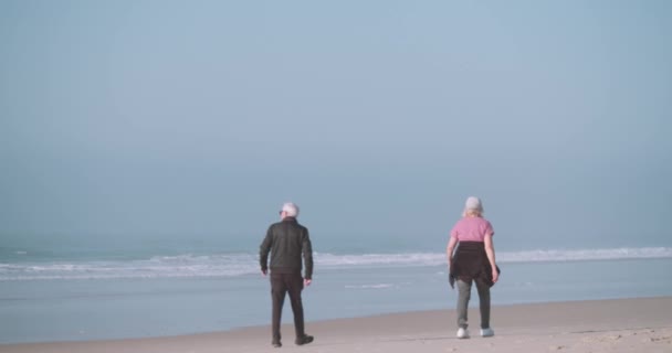 Äldre Par Vandrar Tillsammans Stranden — Stockvideo