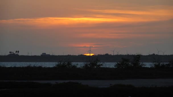 Puesta Sol Sobre Parque Eólico Texas — Vídeos de Stock