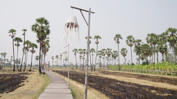 Waving Wind Chimes Bridge Burned Rice Field Palm Trees Background — Wideo stockowe