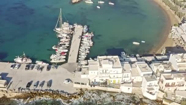 Piso Livadi Paros Yunanistan Havacılık Sinema Kuşları Küçük Büyüleyici Liman — Stok video