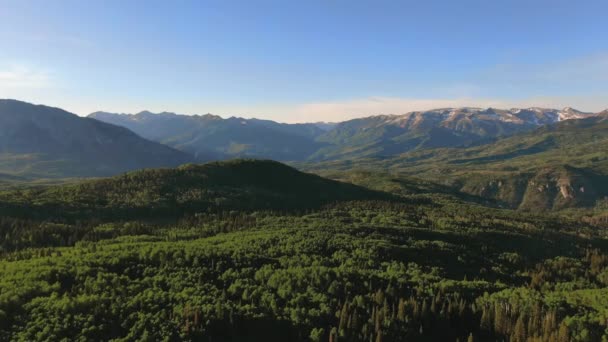 Drone Aerial View Lush Green Mountain Valley Woodlands Kebler Pass — Stockvideo