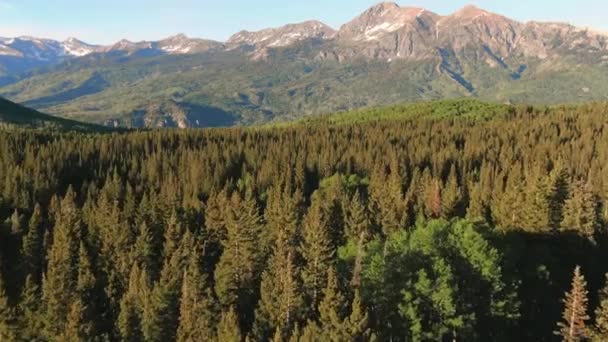 Drone Vliegen Mooie Dennenbomen Buurt Van Ruby Peak Mountain Kebler — Stockvideo